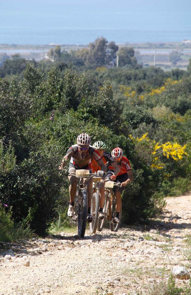 Marathon_Salento2014_foto1