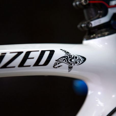 click to enlarge Specialized-Limited-Edition-S-Works-Nibali-Tarmac-2014-foto2