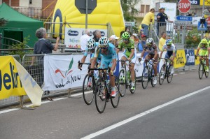 click to enlarge Trofeo_Melinda_2014