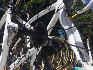 Vittoria_SC_bici_Evans
