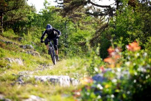 Bianchi_Ethanol_FSE_27.5_foto2