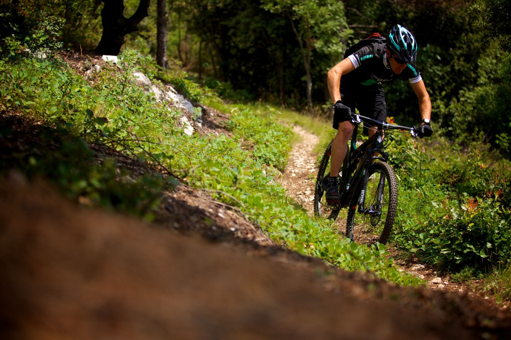 click to enlarge Bianchi Methanol FST 29"