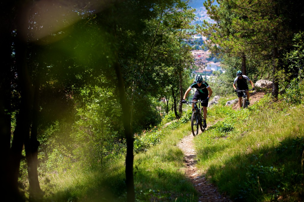 click to enlarge Bianchi_Methanol_FS_29.2_action