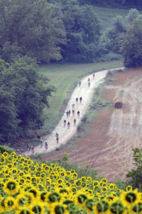 click to enlarge I_Forzati_della_Strada_foto3