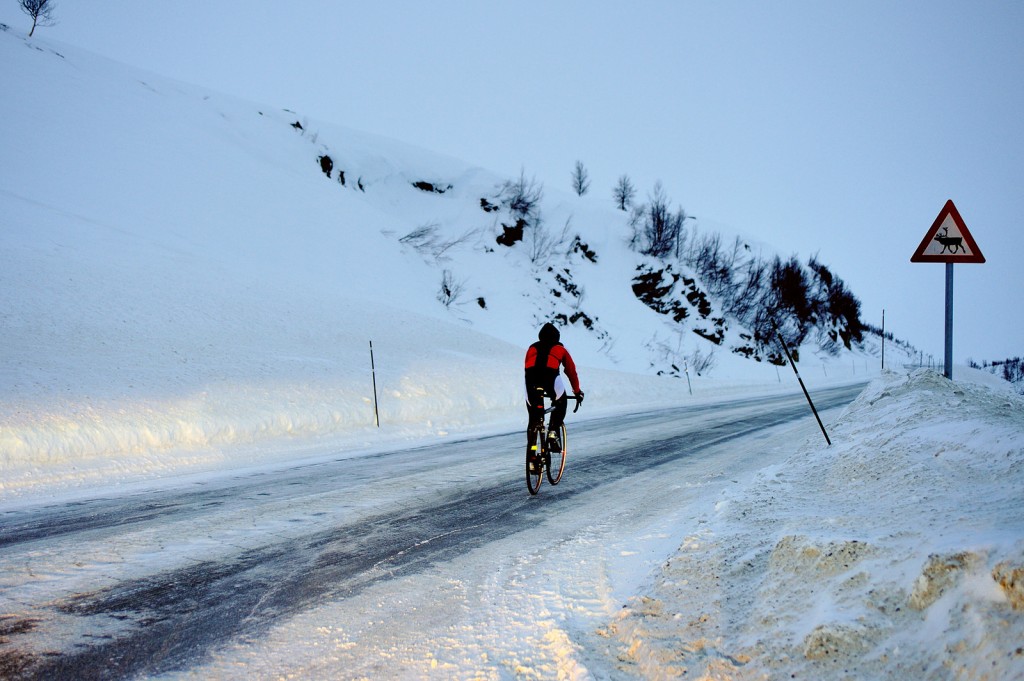Omar verso Capo Nord