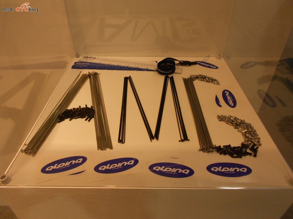 click to enlarge Expobici2014_componenti_Alpina_raggi