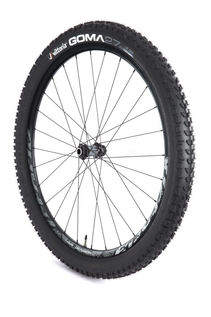 Vittoria_Deamion_front_Goma_tyre