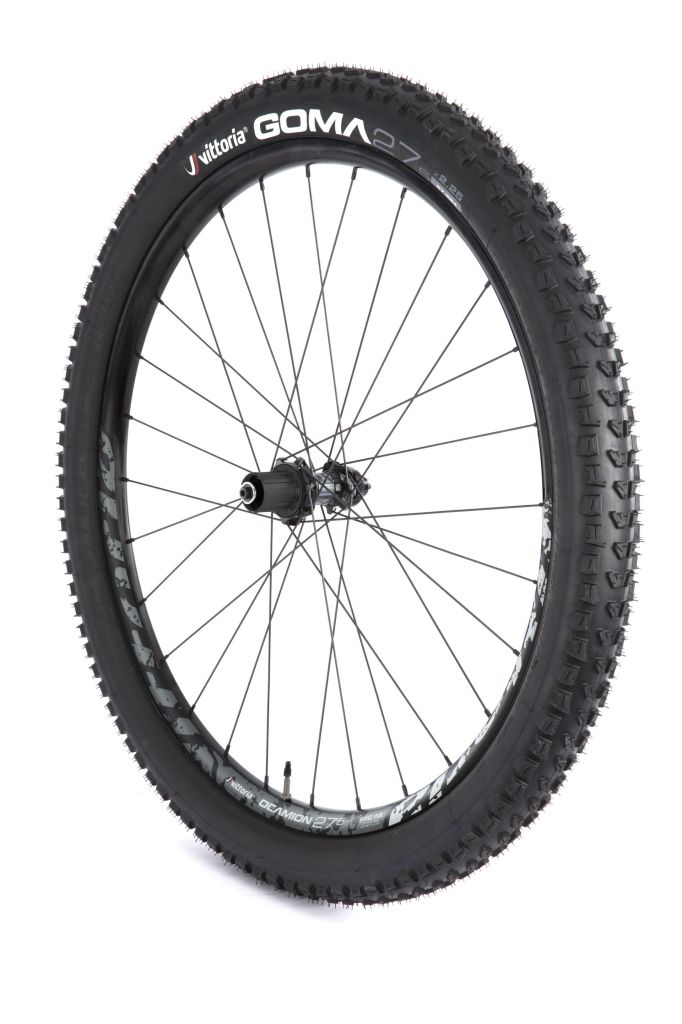 Vittoria_Deamion_rear_Goma_tyre