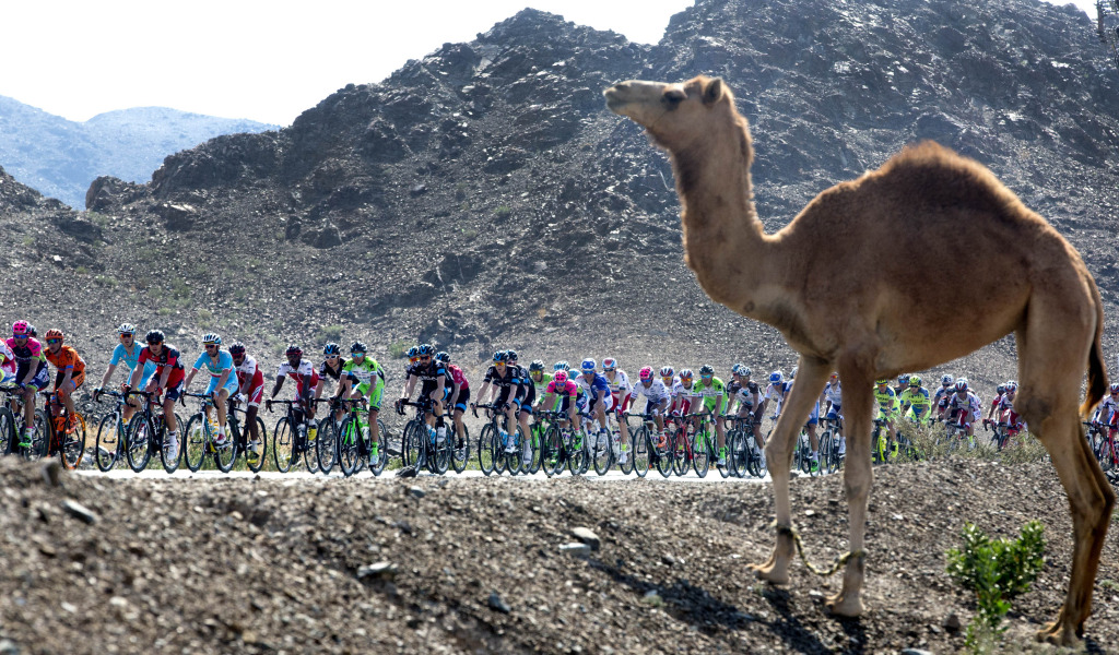 click to enlarge Dubai Tour: Terza tappa