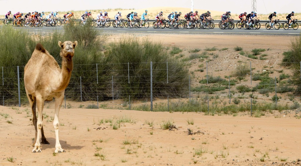 click to enlarge Dubai Tour: Terza tappa