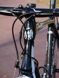 click to enlarge Bianchi_Intenso_head_tube_1