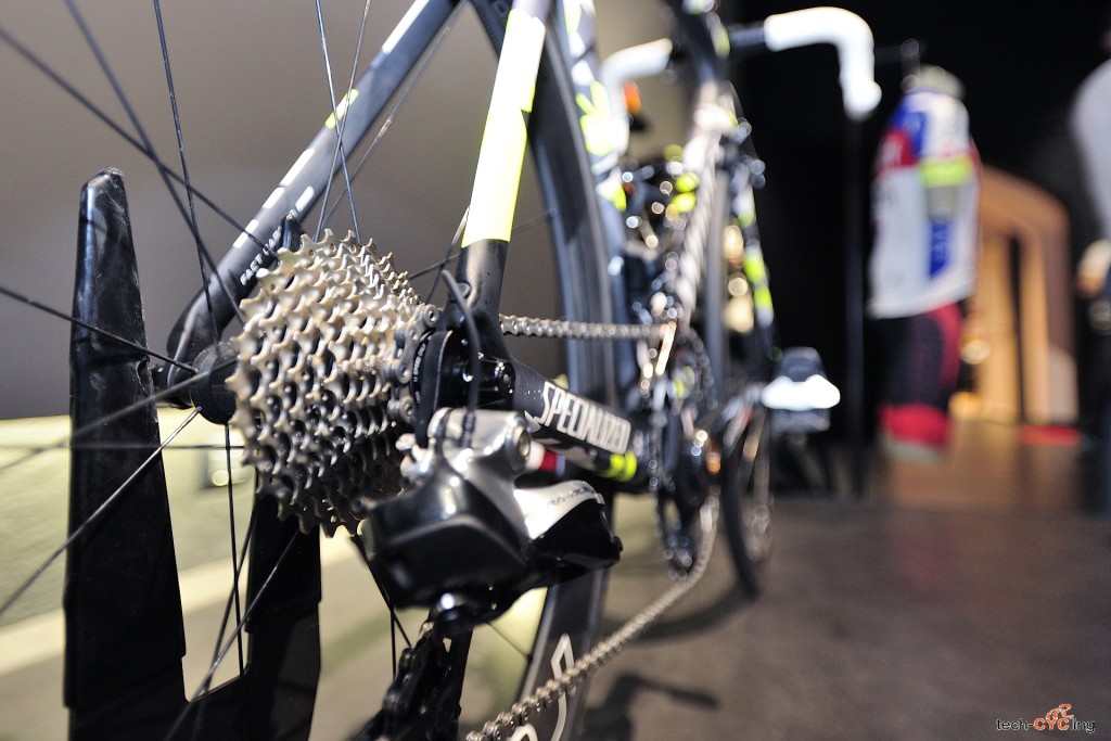 click to enlarge Specialized_Sagan_replica_foto12