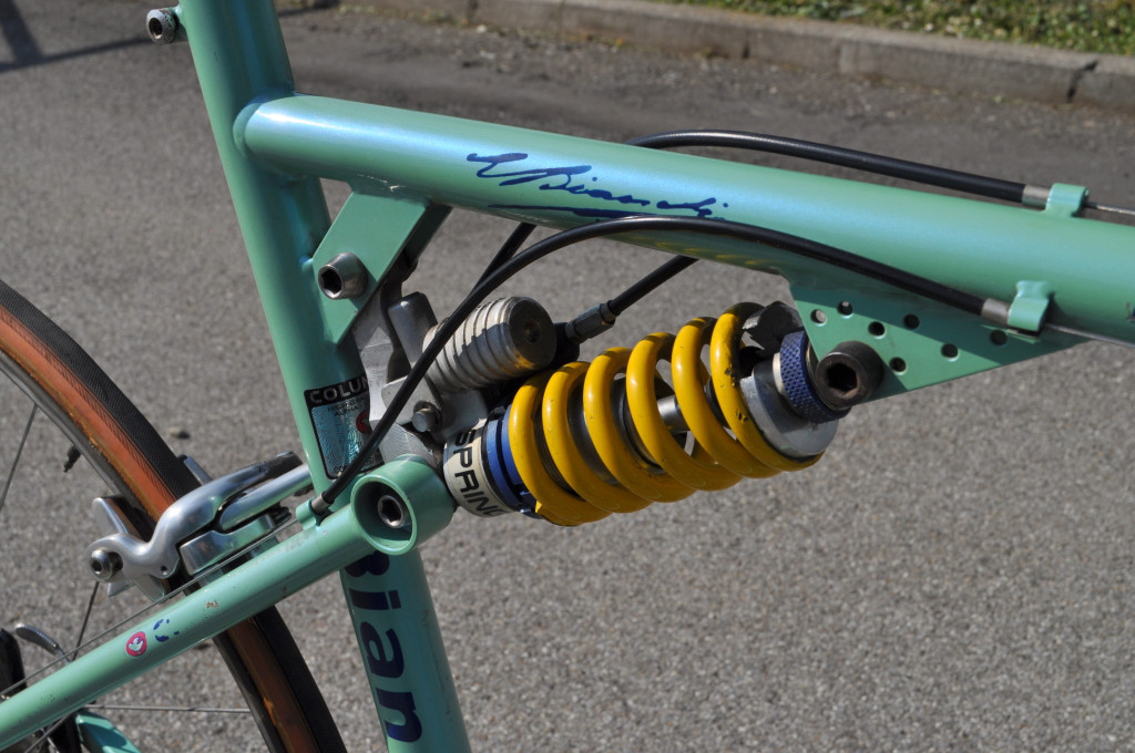 click to enlarge Bianchi_1996_Bottaro_foto2