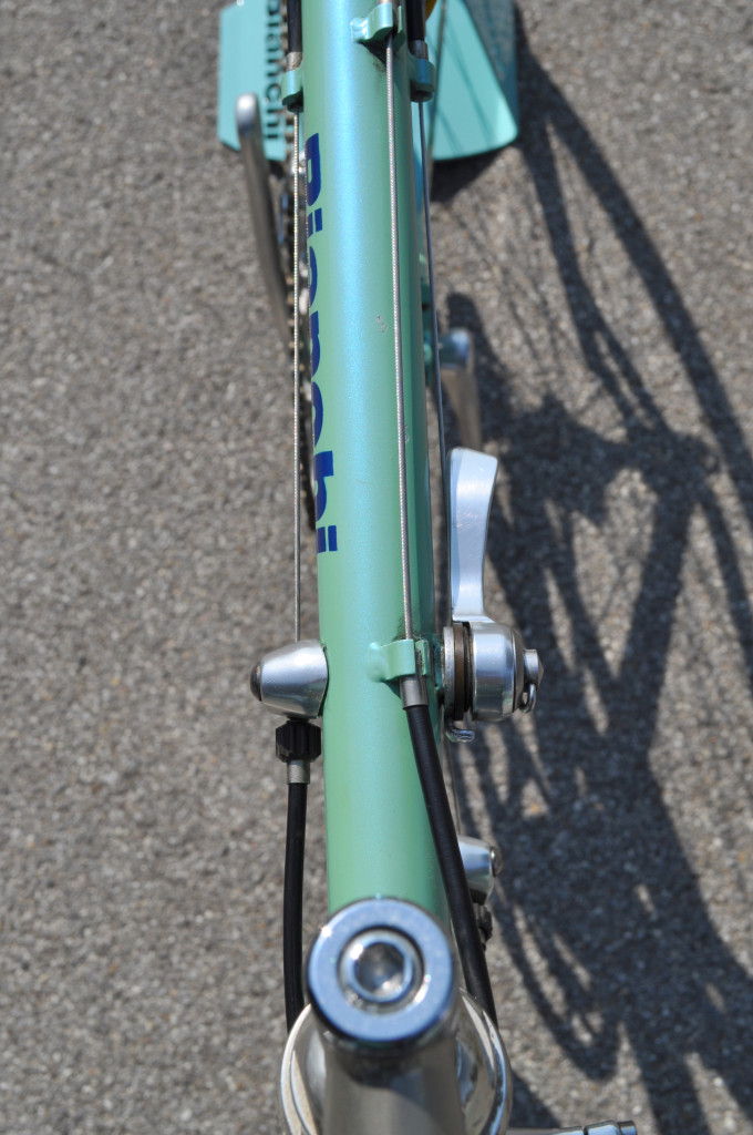 click to enlarge Bianchi_1996_Bottaro_foto3