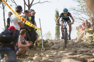 click to enlarge Trofeo_Delcar_2015_Gehbauer_foto1