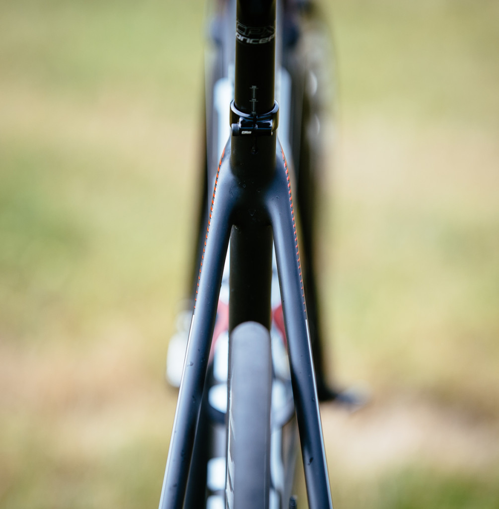 click to enlarge Focus_Izalco_Max_Disc_foto04