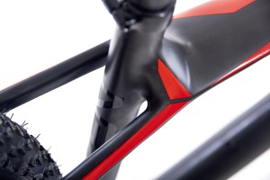 click to enlarge Focus_Raven_Max_Team_29_foto16