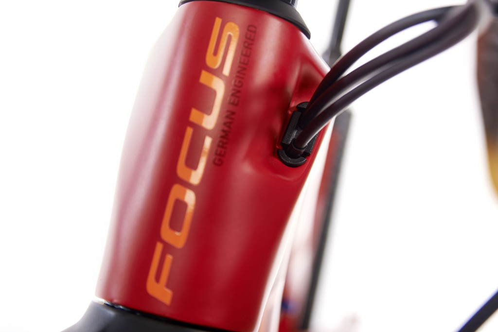click to enlarge Focus_SAM_Carbon_Team_foto1