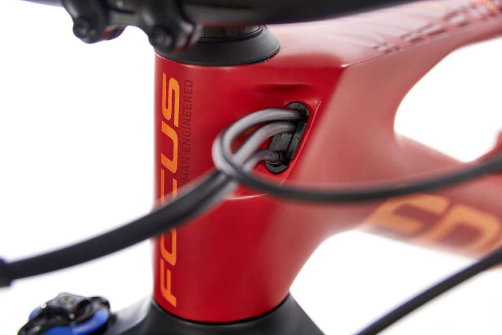 click to enlarge Focus_SAM_Carbon_Team_foto2