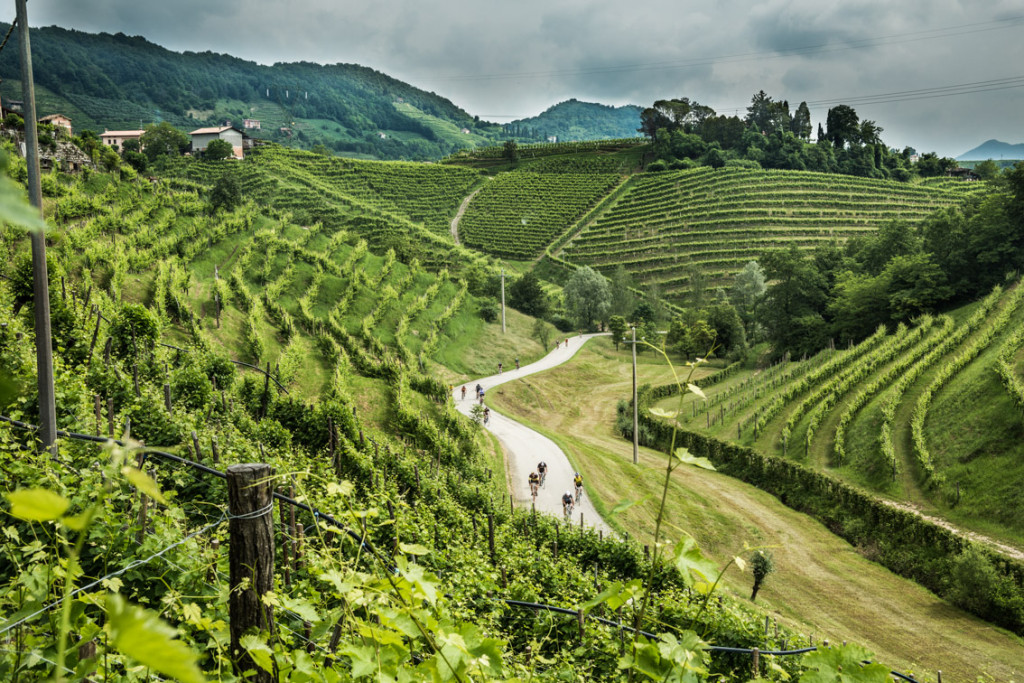 click to enlarge Un passaggio tra i vigneti delle colline trevigiane (Foto by Giuseppe ‘Joe’ Murador)