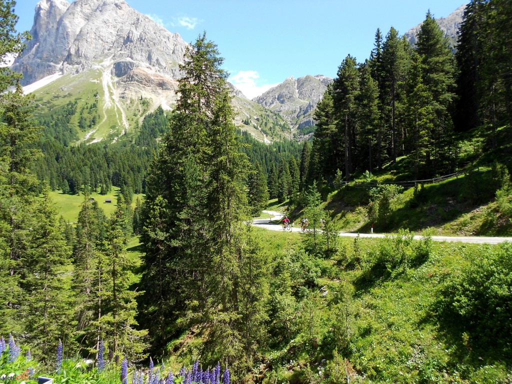 click to enlarge Plose_Bike_Day_2015_foto94_verso_Passo_Rodella