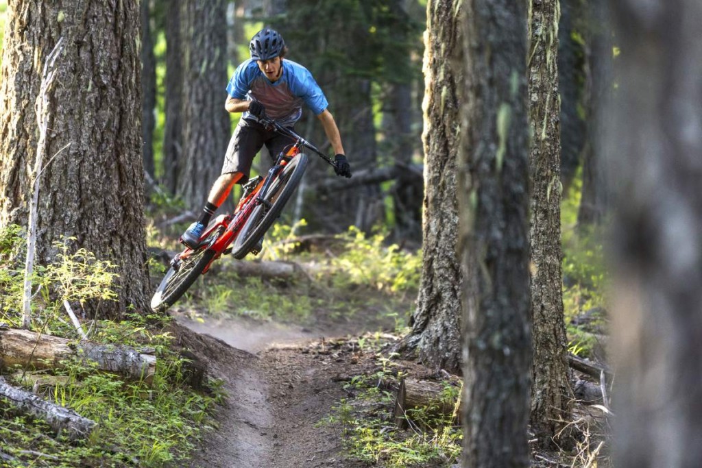 click to enlarge Specialized_Camber_foto01
