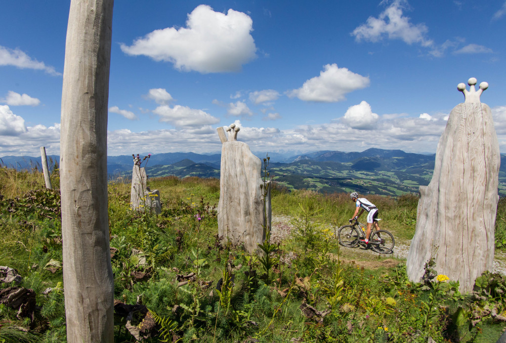 click to enlarge Statteg_Bike_Marathon