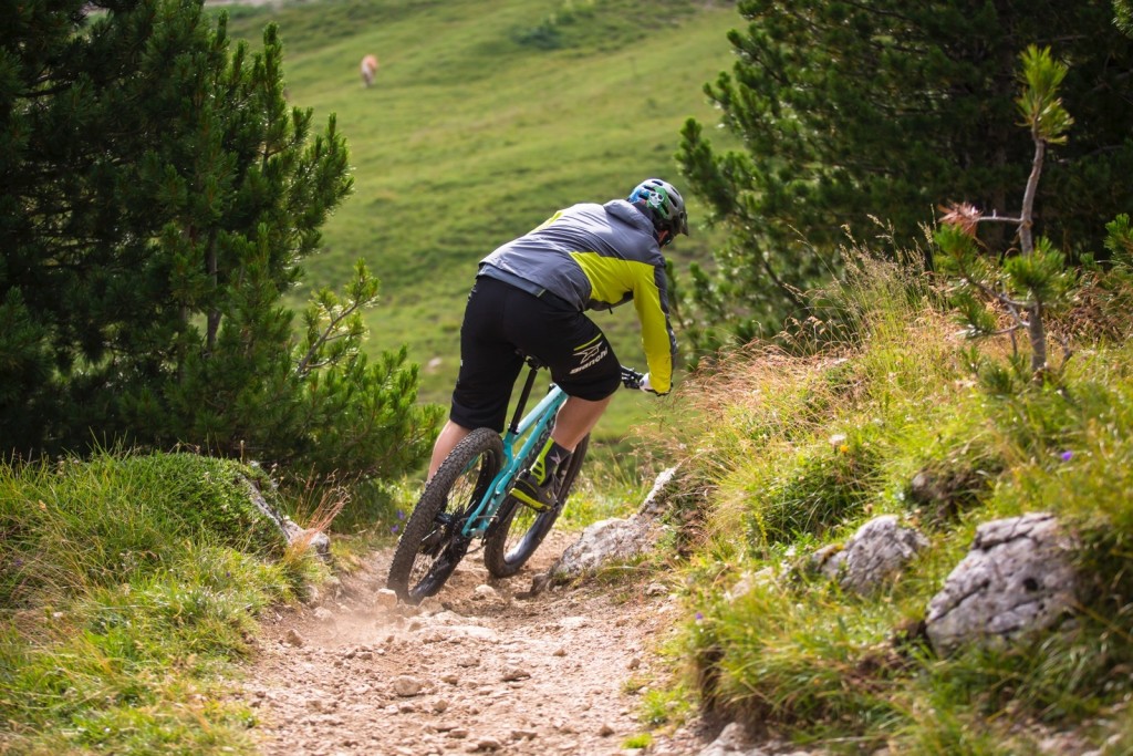 click to enlarge Bianchi_Jab_Plus_foto3