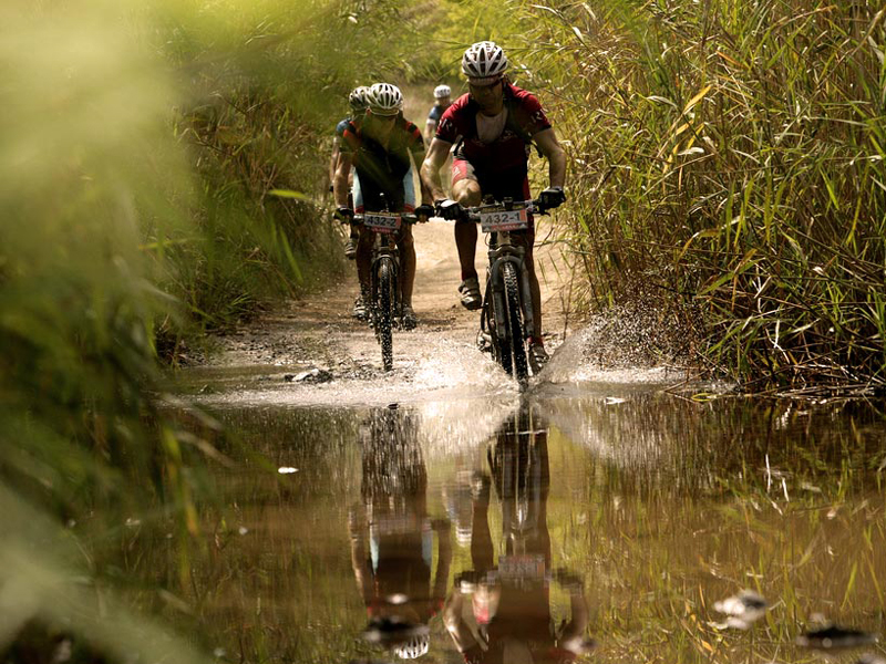 click to enlarge Bike_Week_Bellaria_foto1