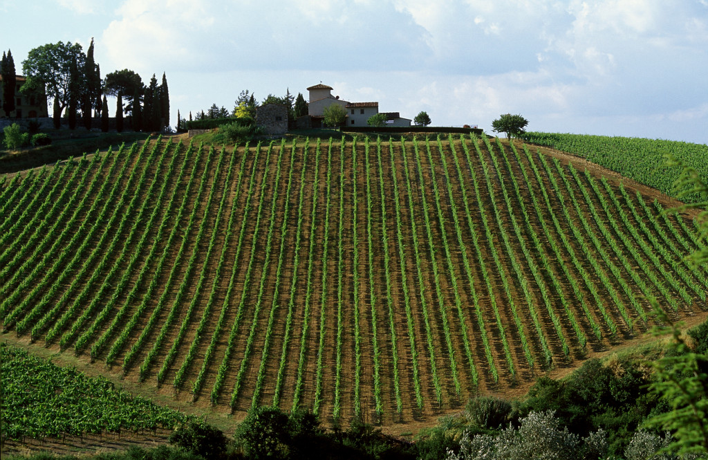 click to enlarge Chianti_collina