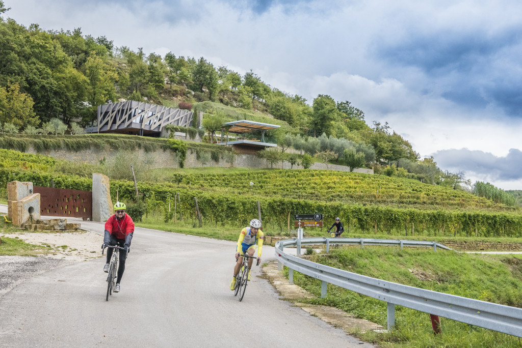 click to enlarge Istria_Granfondo2015_foto05