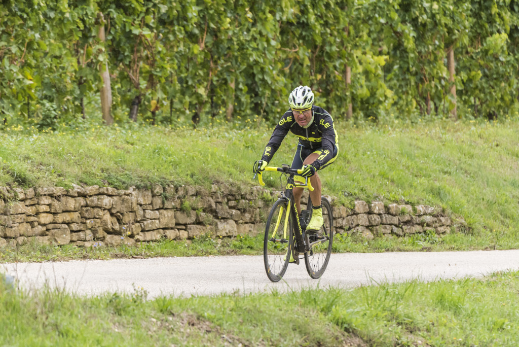 click to enlarge Istria_Granfondo2015_foto07