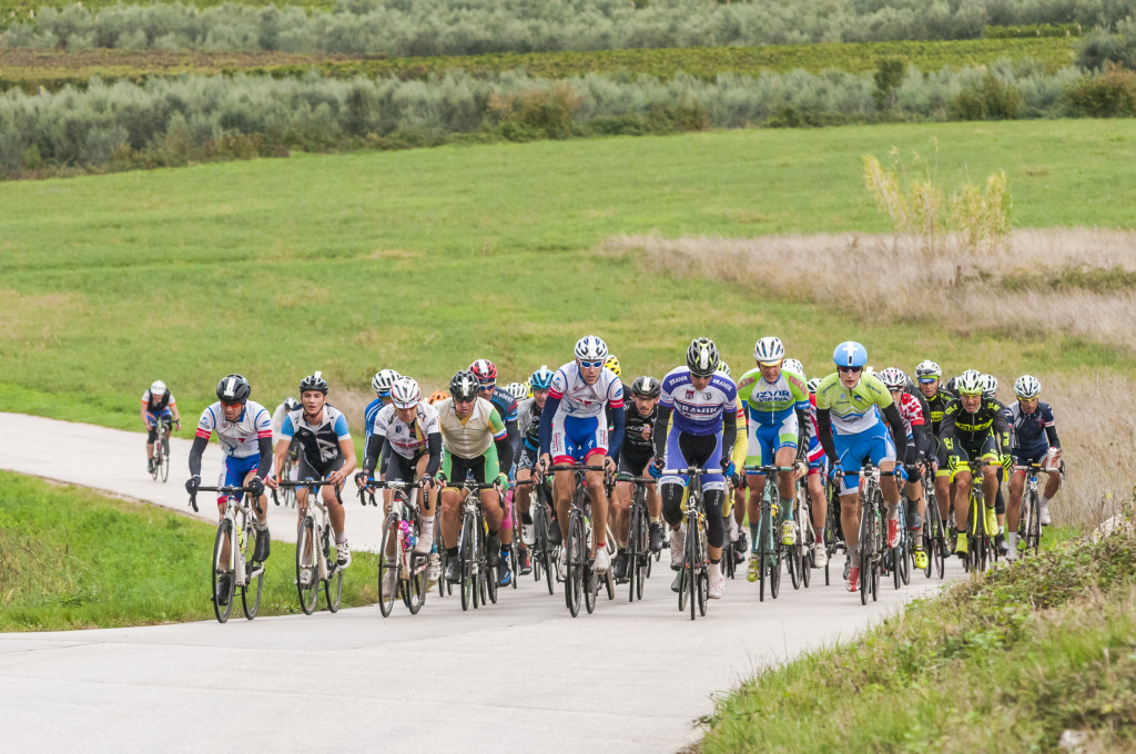 click to enlarge Istria_Granfondo2015_foto14