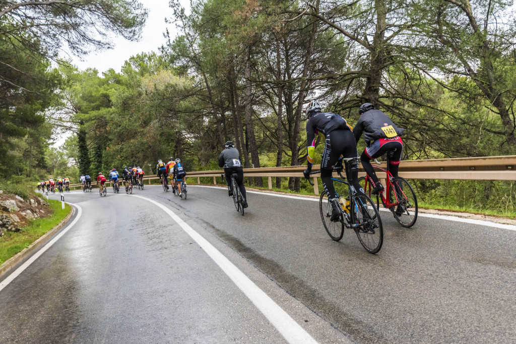 click to enlarge Istria_Granfondo2015_foto19