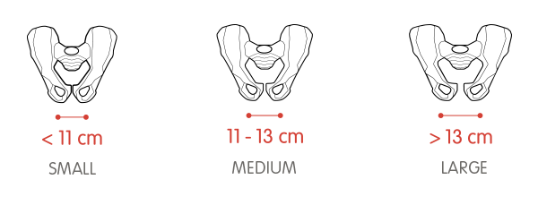 click to enlarge Selle_Royal_Scientia_foto11