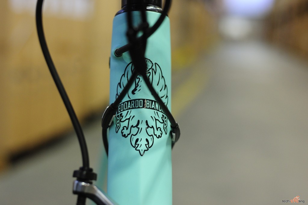 click to enlarge Bianchi_Specialissima_CV_head_tube_1
