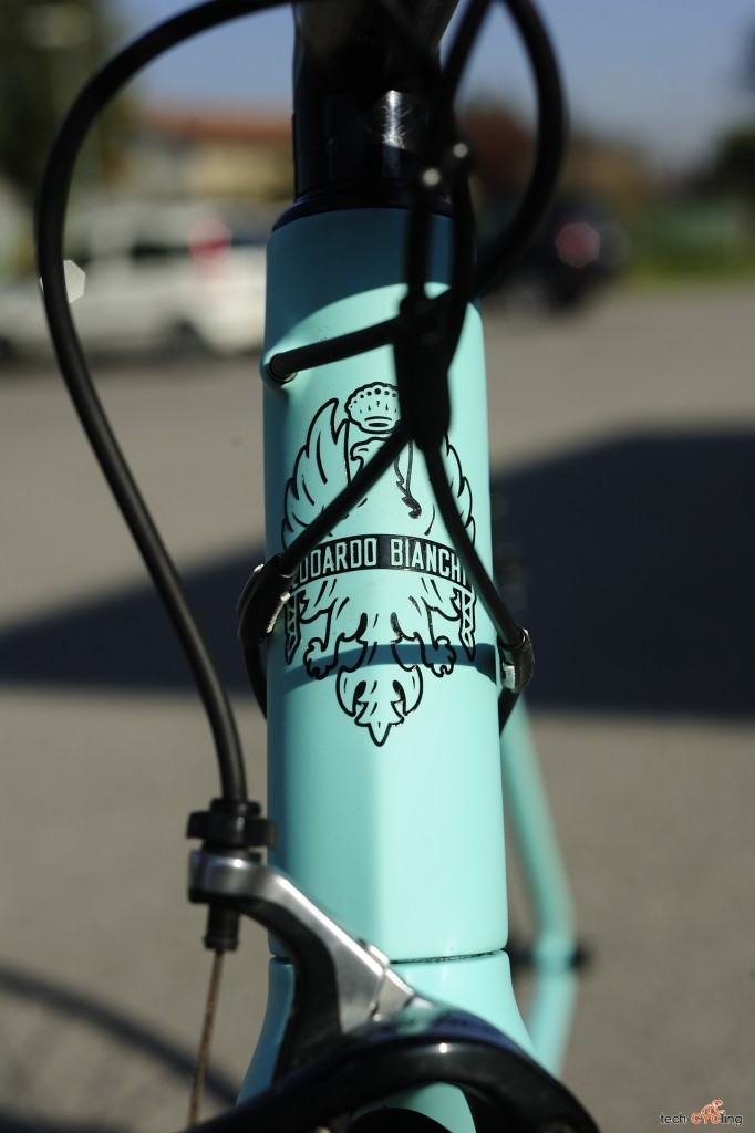 click to enlarge Bianchi_Specialissima_CV_head_tube_3