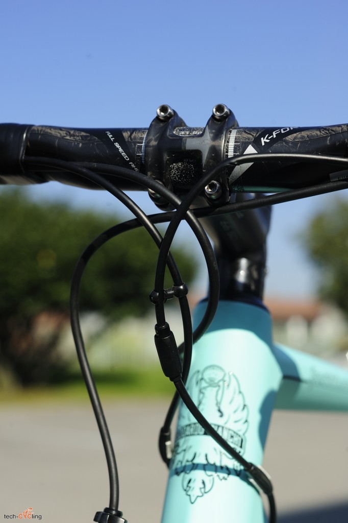 click to enlarge Bianchi_Specialissima_CV_head_tube_4