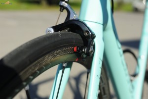 click to enlarge Bianchi_Specialissima_CV_rear_brake_2