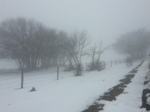 Tirreno-Adriatico_2016_tappa5_neve_foto1