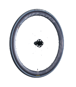 Vittoria_QuranoCC46_rear_6
