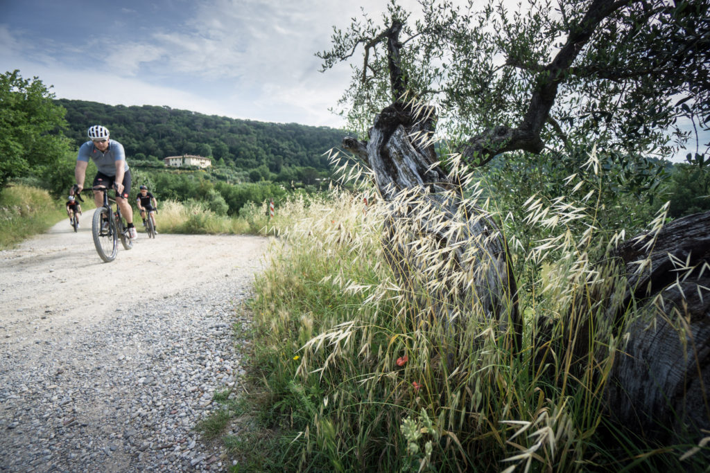 click to enlarge 3TCYCLING TUSCANY LAUNCH 2016