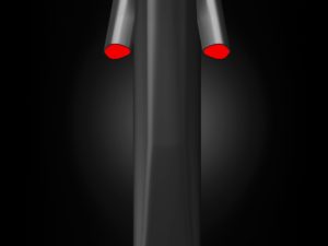 click to enlarge Focus_Paralane_rendering_seatstays_3D