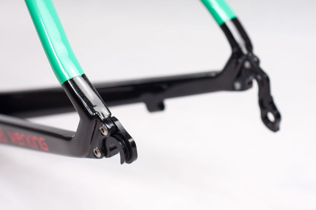 Werking-cycles-Model-S-custom-carbon-frame-1