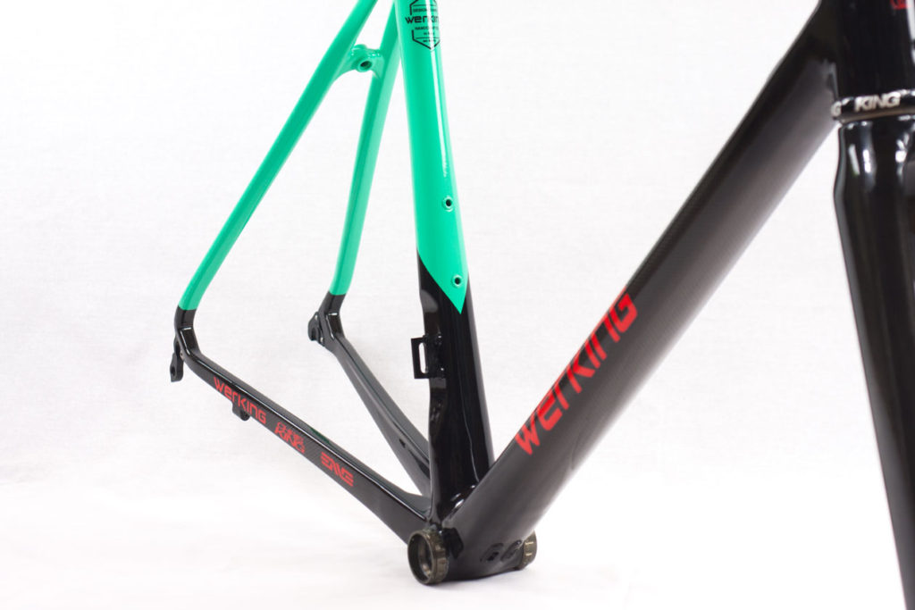 Werking-cycles-Model-S-custom-carbon-frame-13