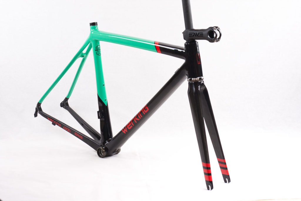 Werking-cycles-Model-S-custom-carbon-frame-14