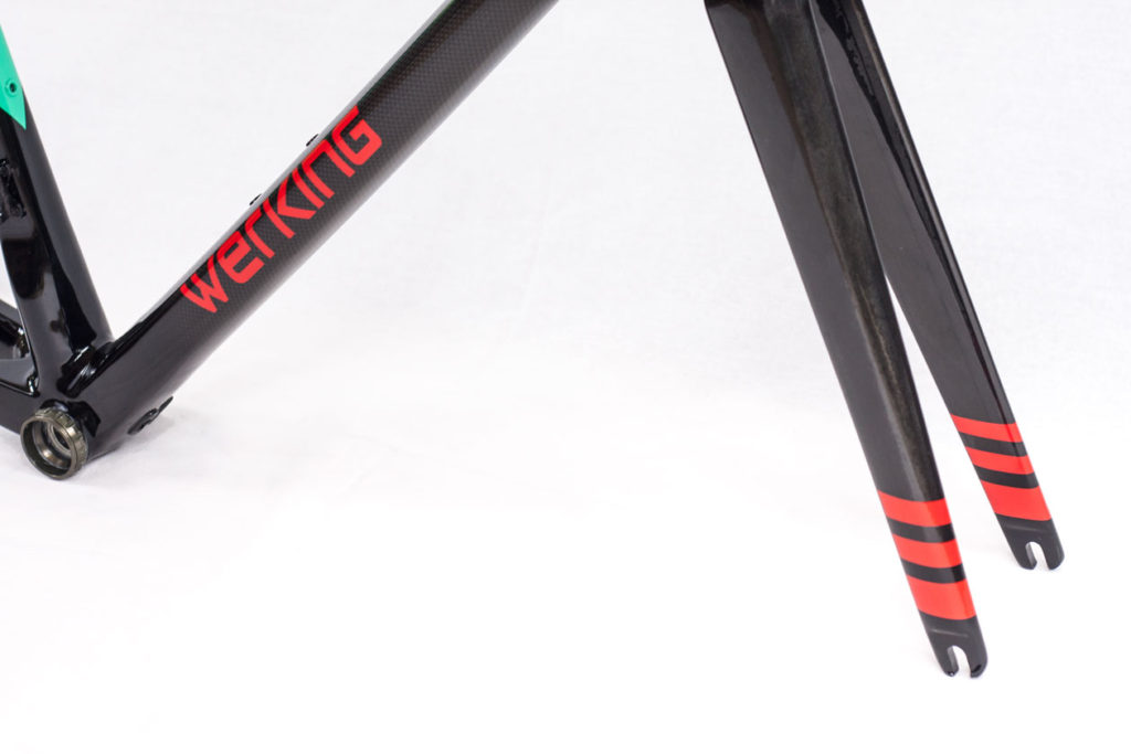 Werking-cycles-Model-S-custom-carbon-frame-15