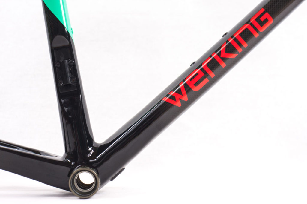 Werking-cycles-Model-S-custom-carbon-frame-17