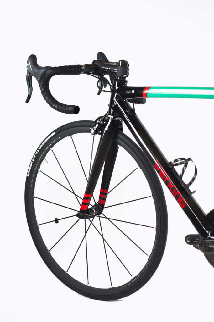 Werking-cycles-Model-S-custom-carbon-frame-21