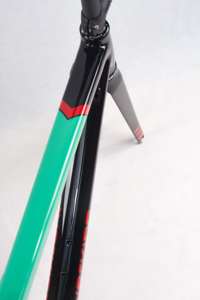 Werking-cycles-Model-S-custom-carbon-frame-26